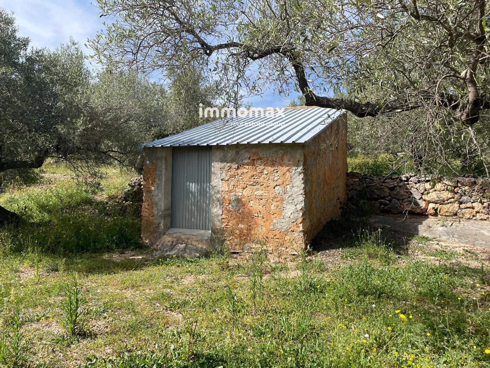 Undeveloped Land for sale in Xerta - € 22,000 (Ref: 9827674)