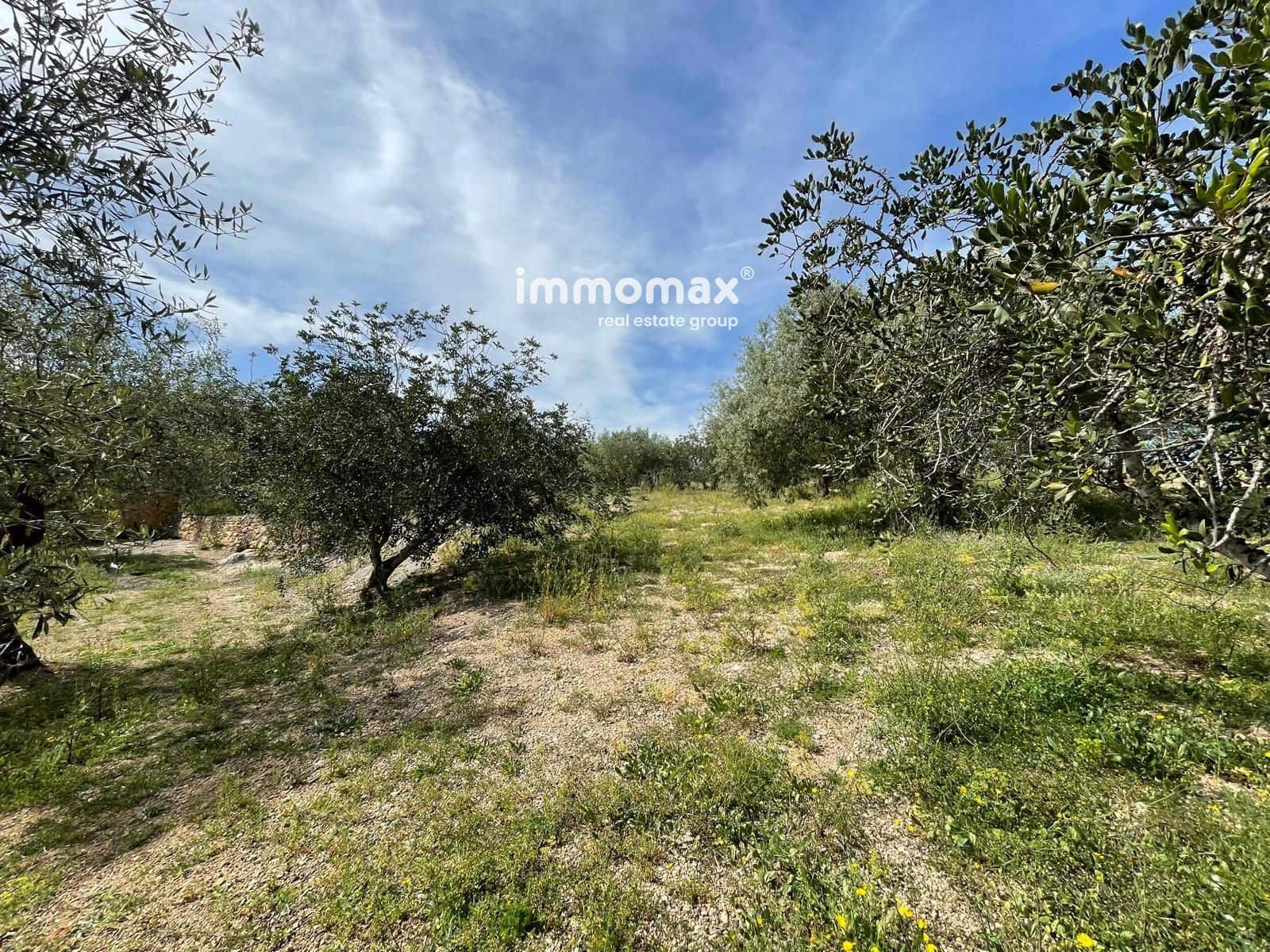 Undeveloped Land for sale in Xerta - € 22,000 (Ref: 9827674)