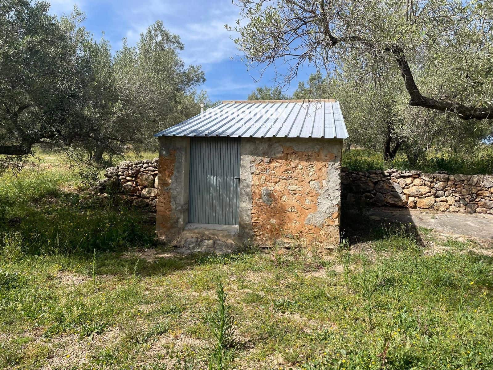 Undeveloped Land for sale in Xerta - € 22,000 (Ref: 9827674)