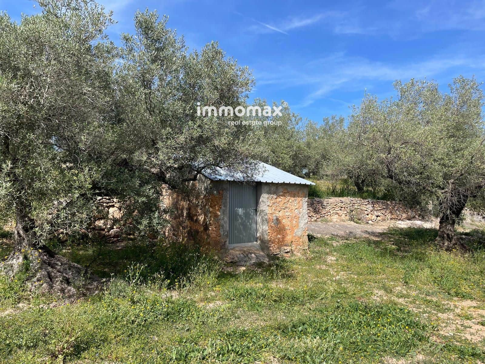 Undeveloped Land for sale in Xerta - € 22,000 (Ref: 9827674)
