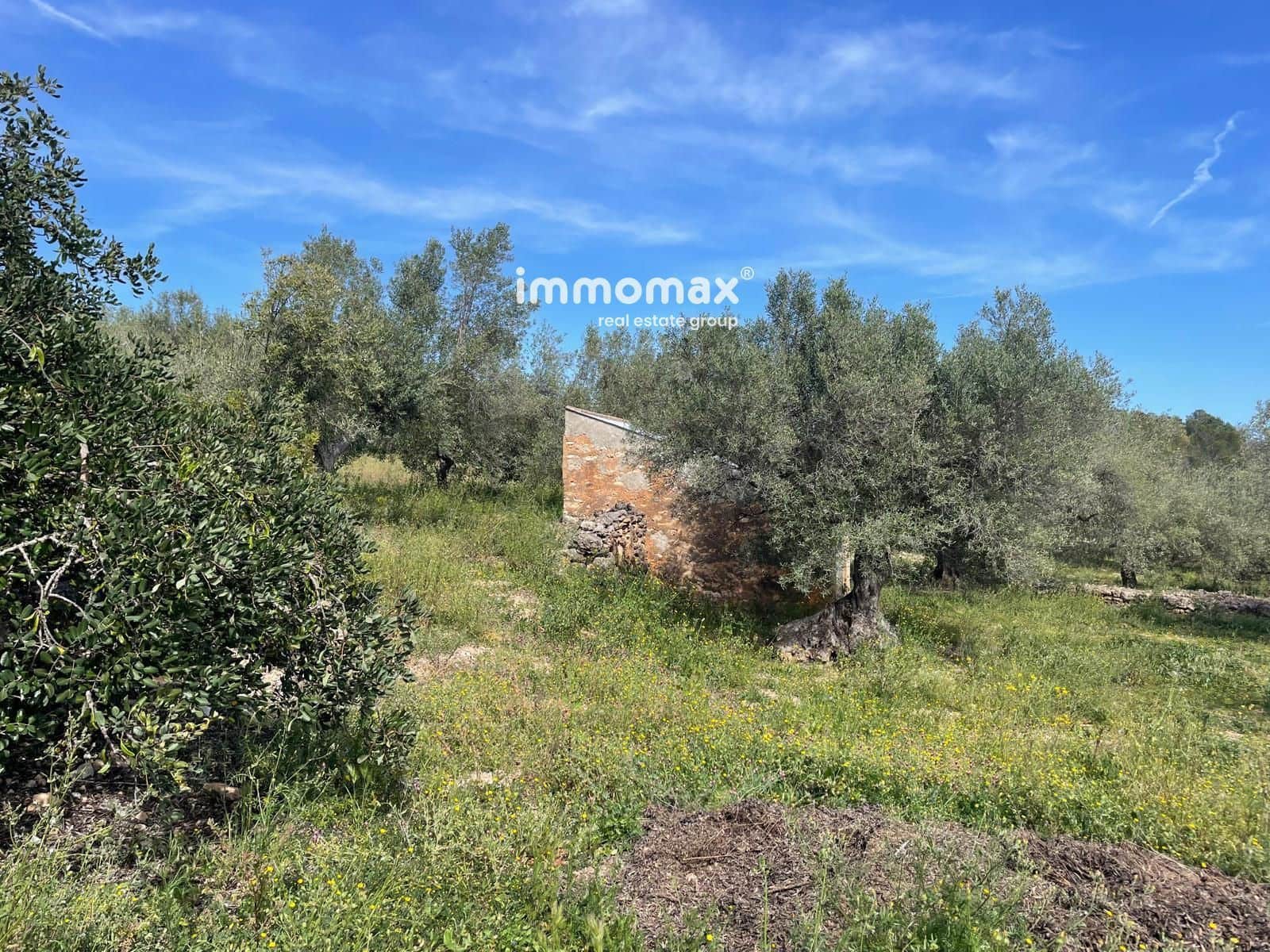 Undeveloped Land for sale in Xerta - € 22,000 (Ref: 9827674)