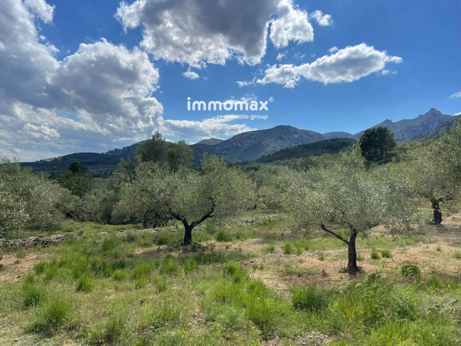 Terreno Non Edificato in vendita in Roquetes - 106.000 € (Rif: 9838419)