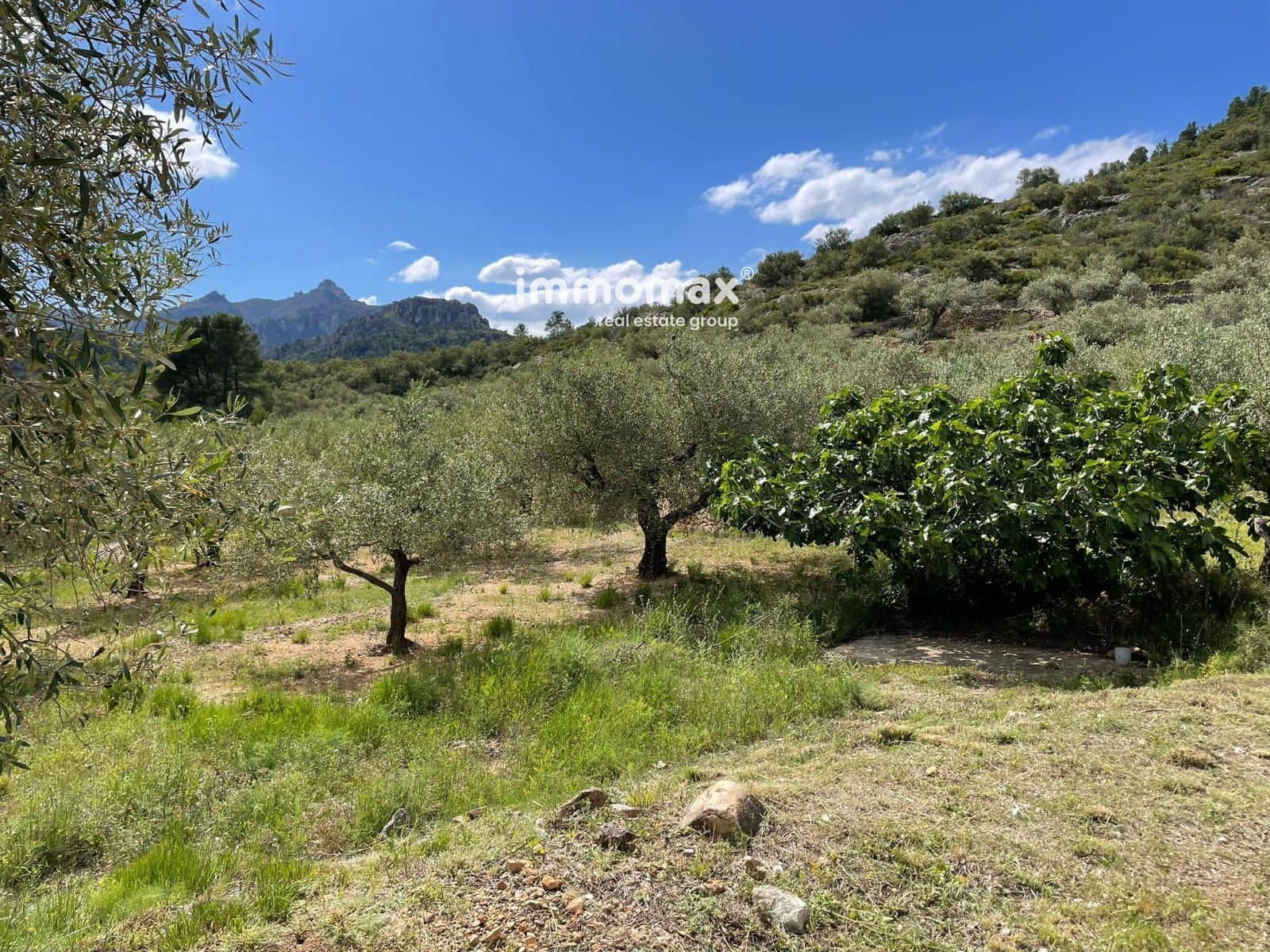 Terreno Non Edificato in vendita in Roquetes - 106.000 € (Rif: 9838419)