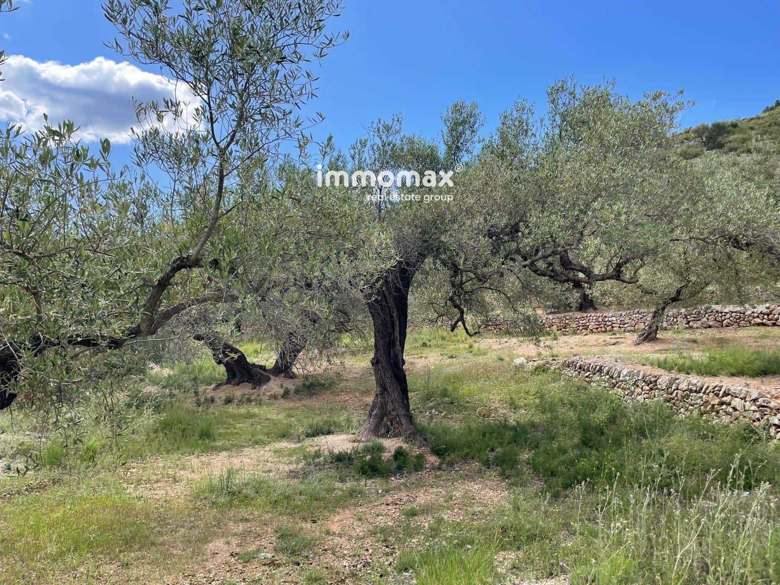 Terreno Non Edificato in vendita in Roquetes - 106.000 € (Rif: 9838419)