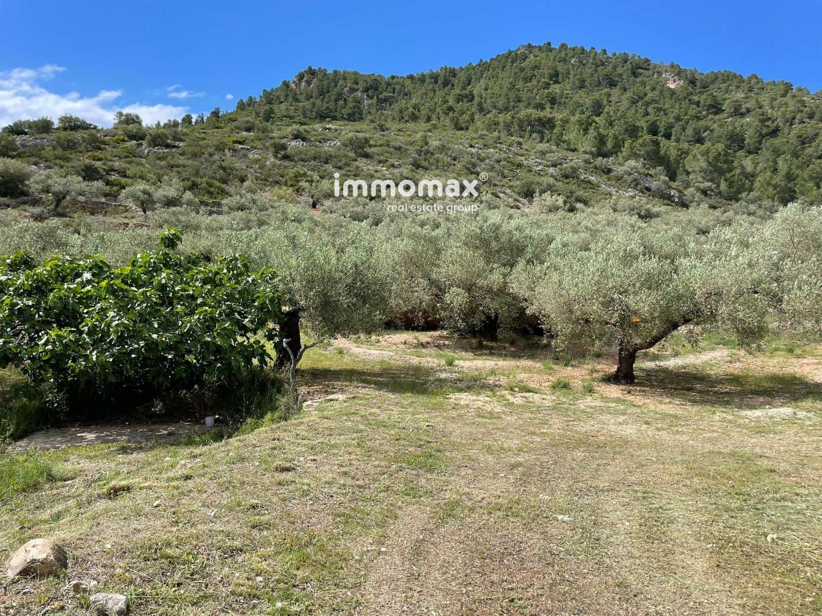 Terreno Non Edificato in vendita in Roquetes - 106.000 € (Rif: 9838419)