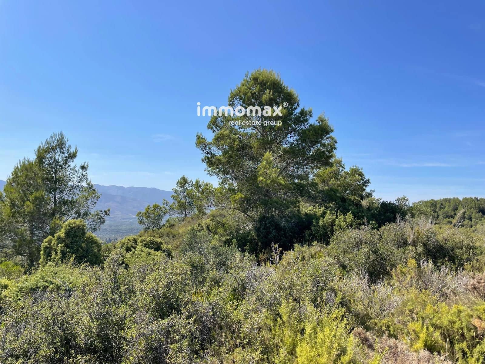 Landgrundstück zu verkaufen in Bitem - 18.000 € (Ref: 9973996)
