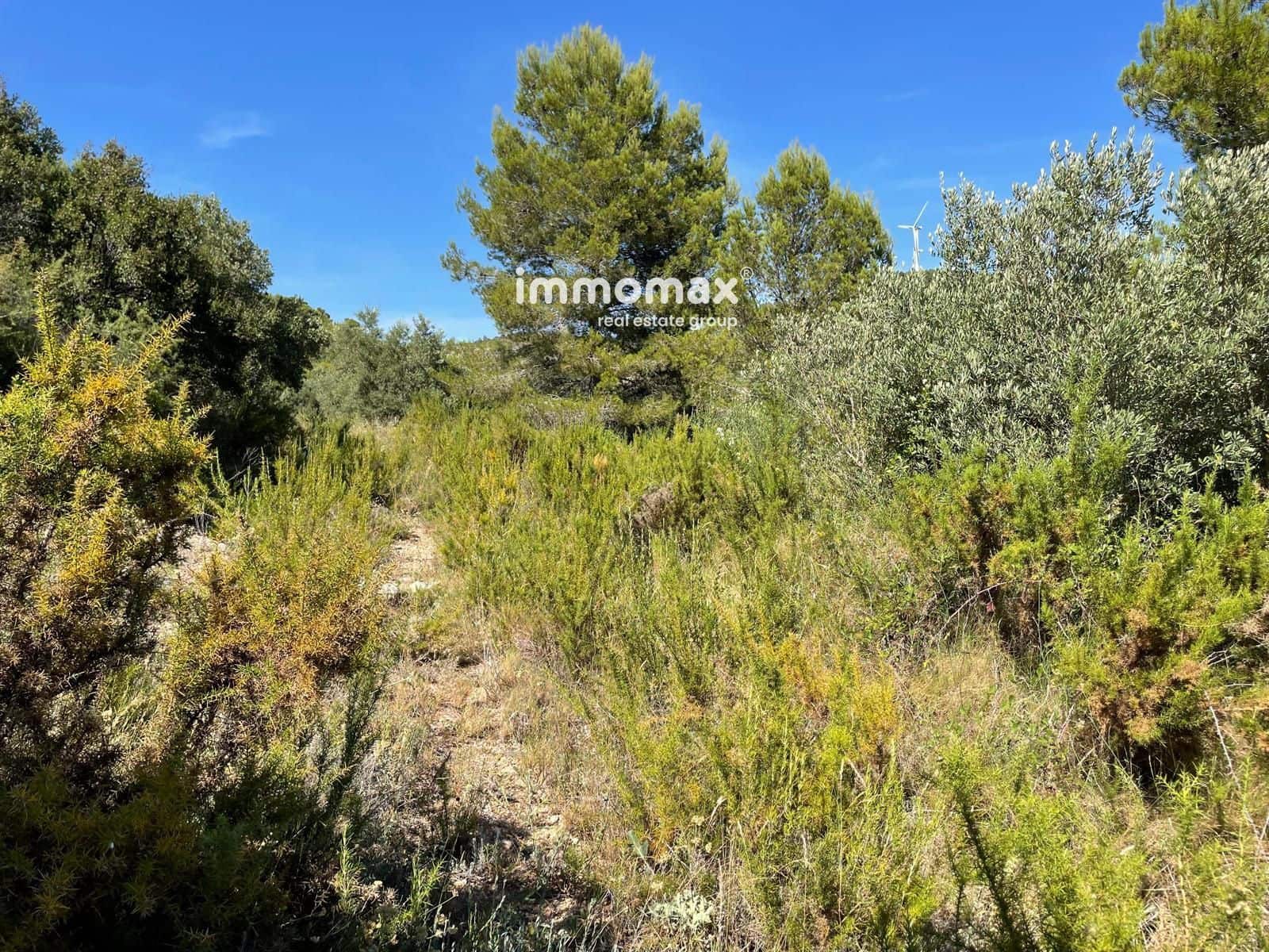 Landgrundstück zu verkaufen in Bitem - 18.000 € (Ref: 9973996)
