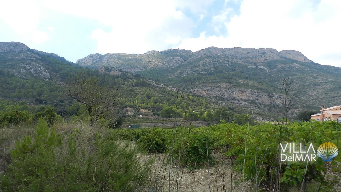 Bouwgrond te koop in Jalon / Xalo - € 375.000 (Ref: 6695241)