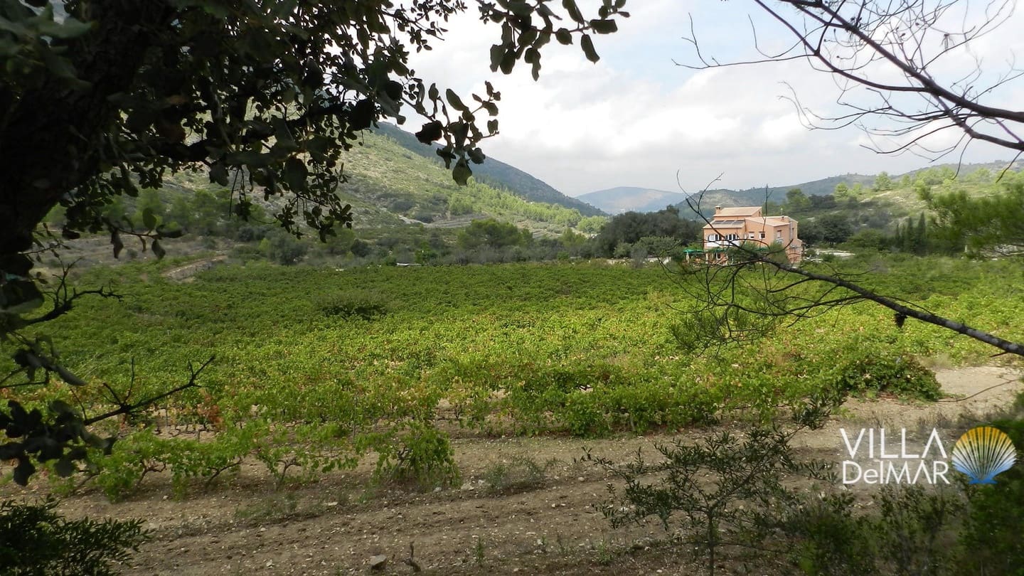 Bouwgrond te koop in Jalon / Xalo - € 375.000 (Ref: 6695241)