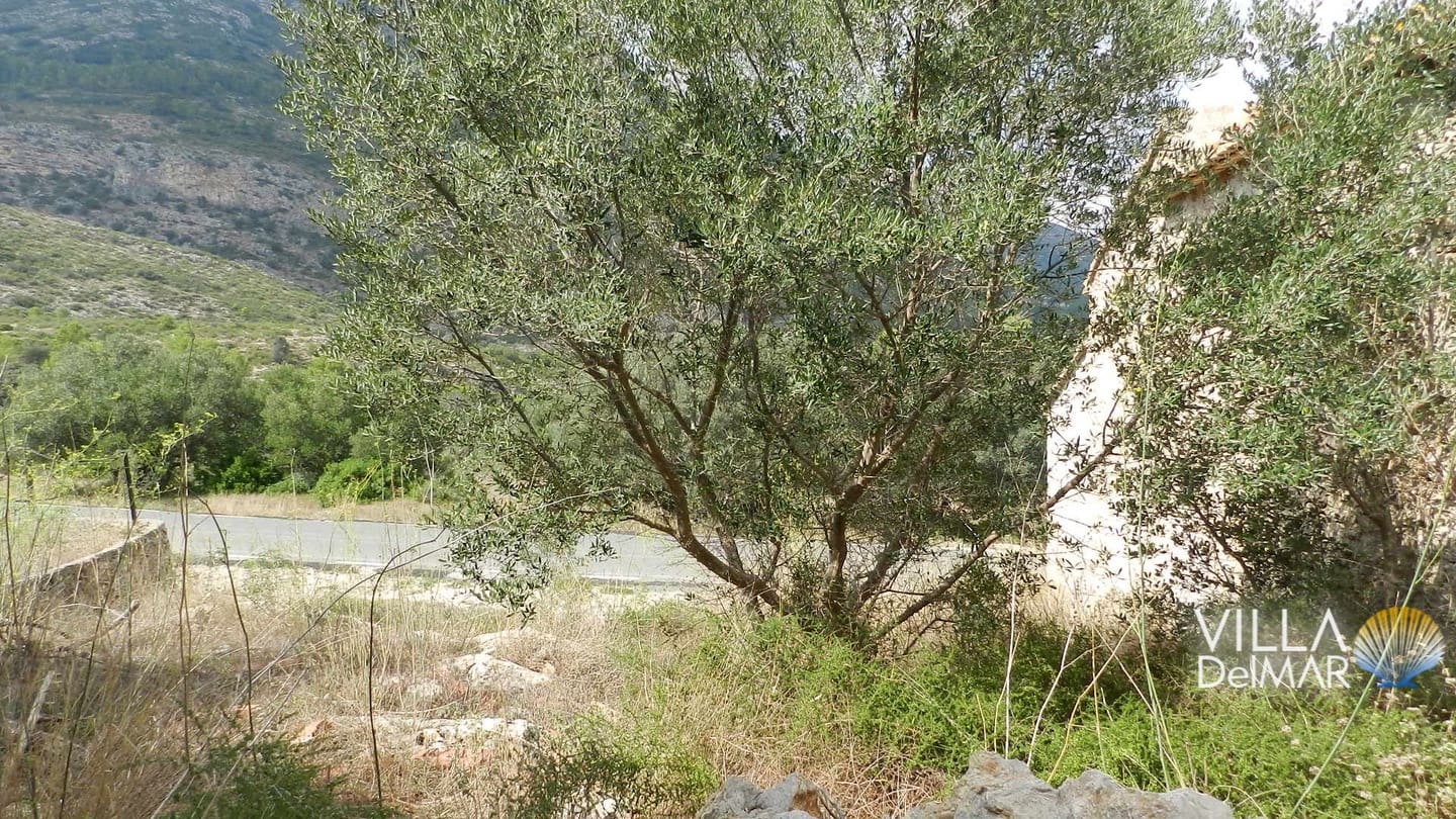 Bouwgrond te koop in Jalon / Xalo - € 375.000 (Ref: 6695241)