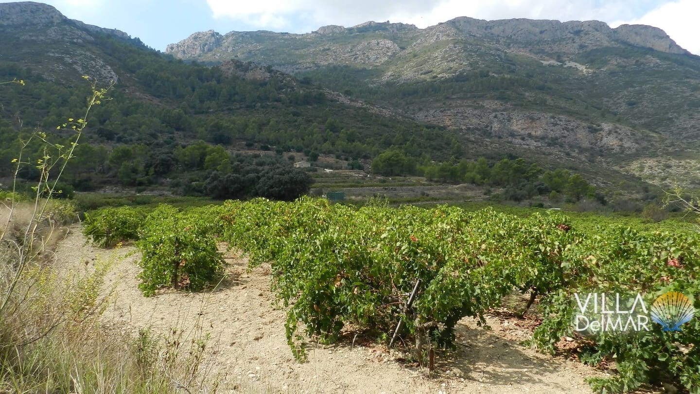 Bouwgrond te koop in Jalon / Xalo - € 375.000 (Ref: 6695241)