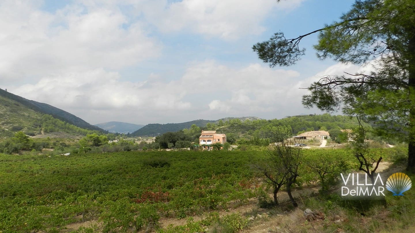 Bouwgrond te koop in Jalon / Xalo - € 375.000 (Ref: 6695241)