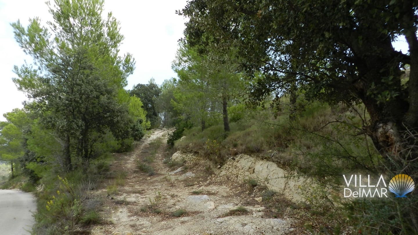 Bouwgrond te koop in Jalon / Xalo - € 375.000 (Ref: 6695241)