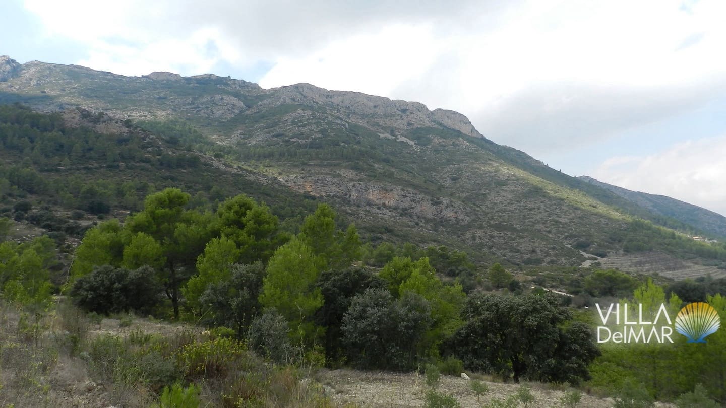 Bouwgrond te koop in Jalon / Xalo - € 375.000 (Ref: 6695241)