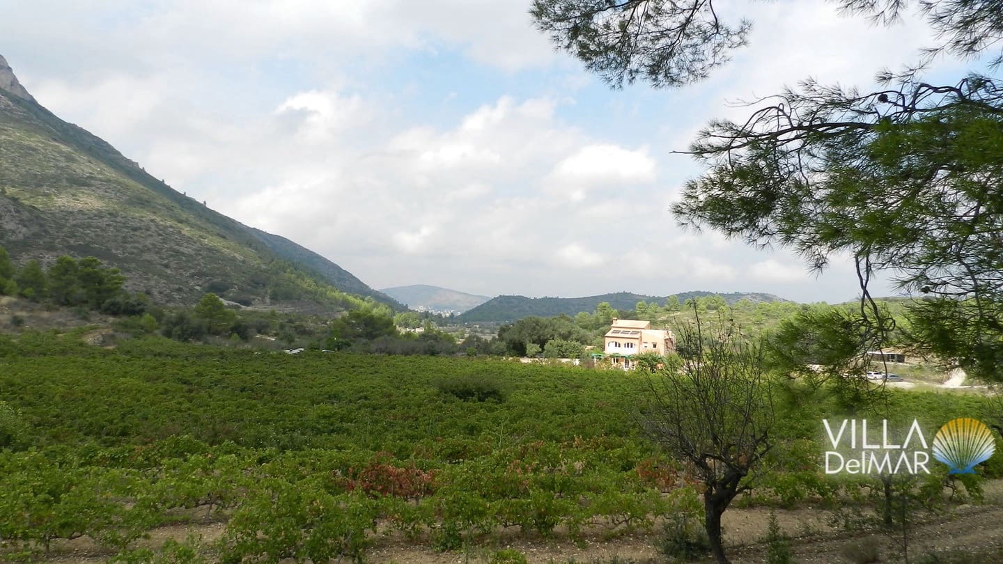 Bouwgrond te koop in Jalon / Xalo - € 375.000 (Ref: 6695241)