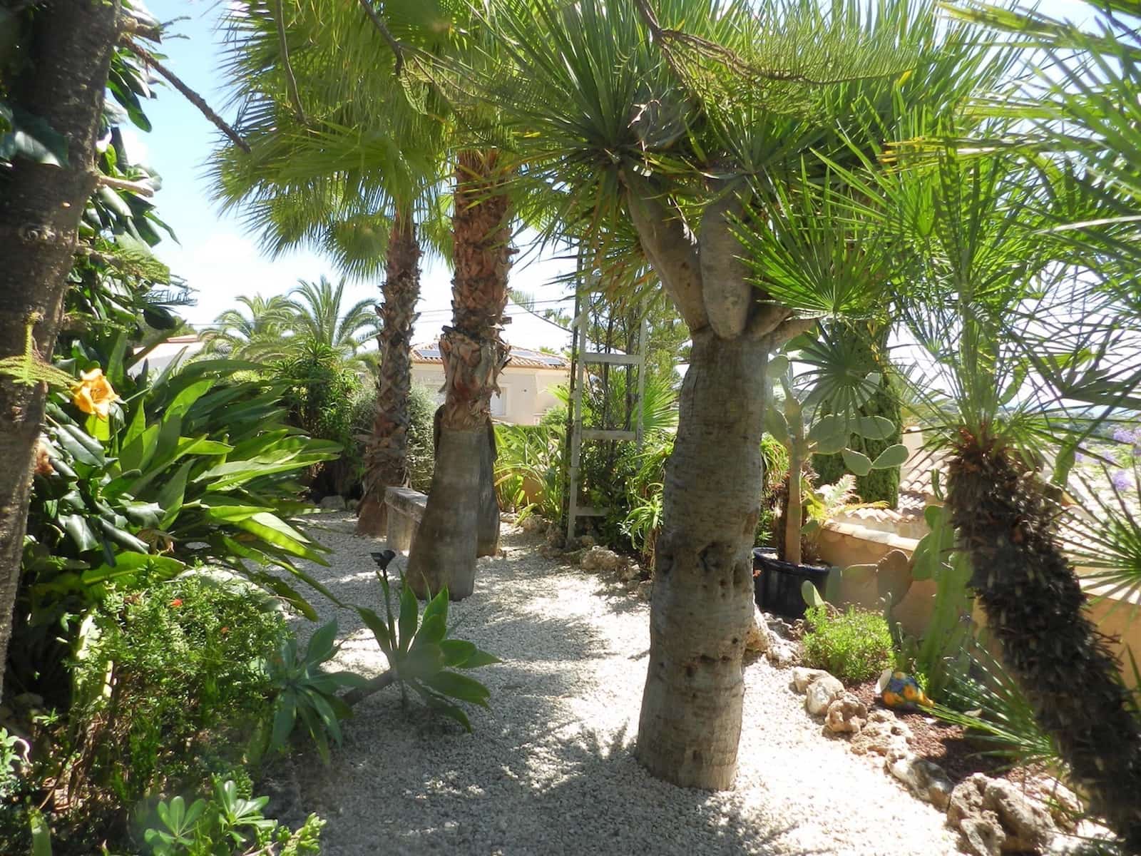 2 Zimmer Ferienvilla in Calpe / Calp mit Pool Garage - 824 € (Ref: 7981364)