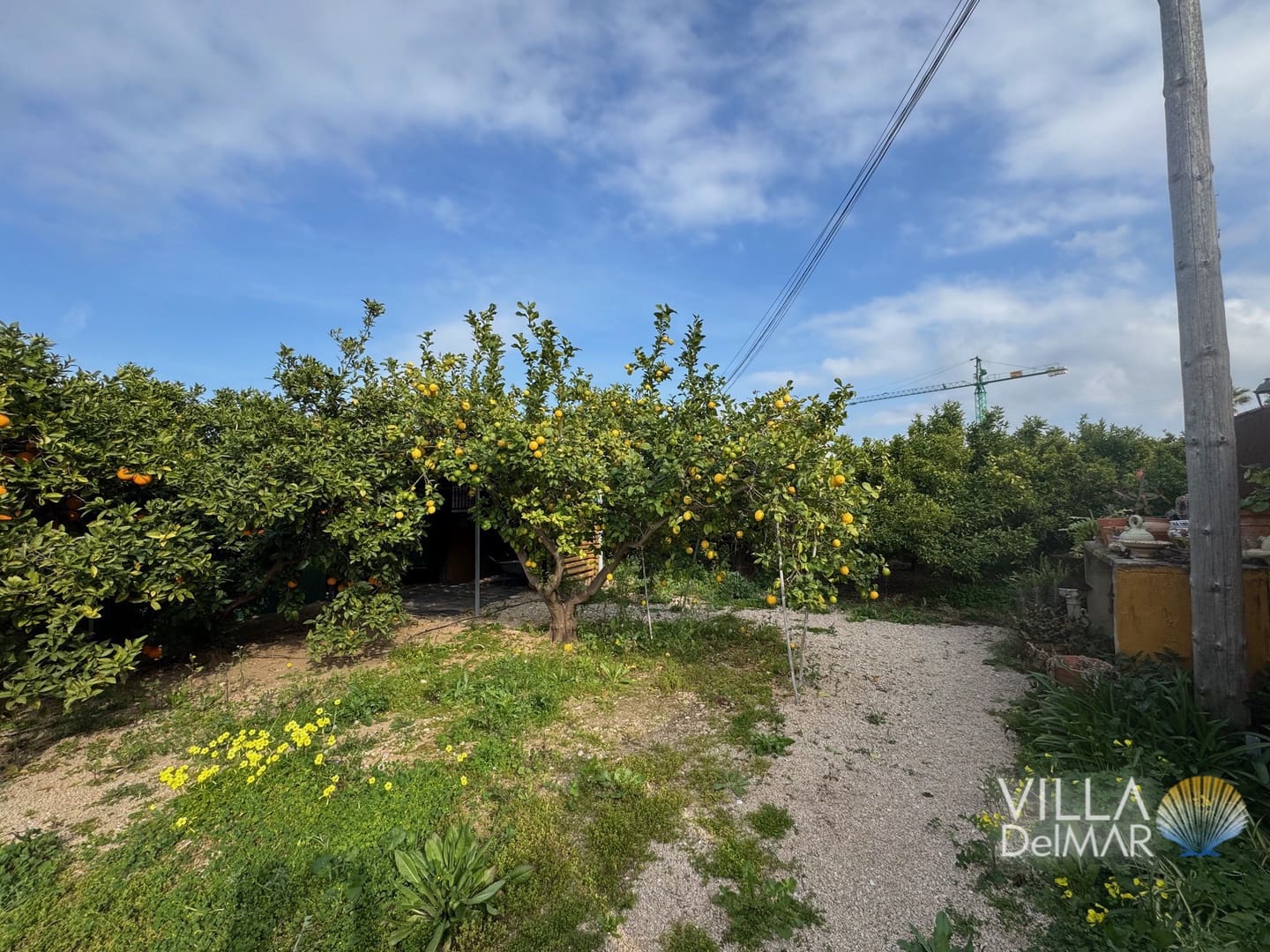 Bouwgrond te koop in Els Poblets - € 299.000 (Ref: 8941087)