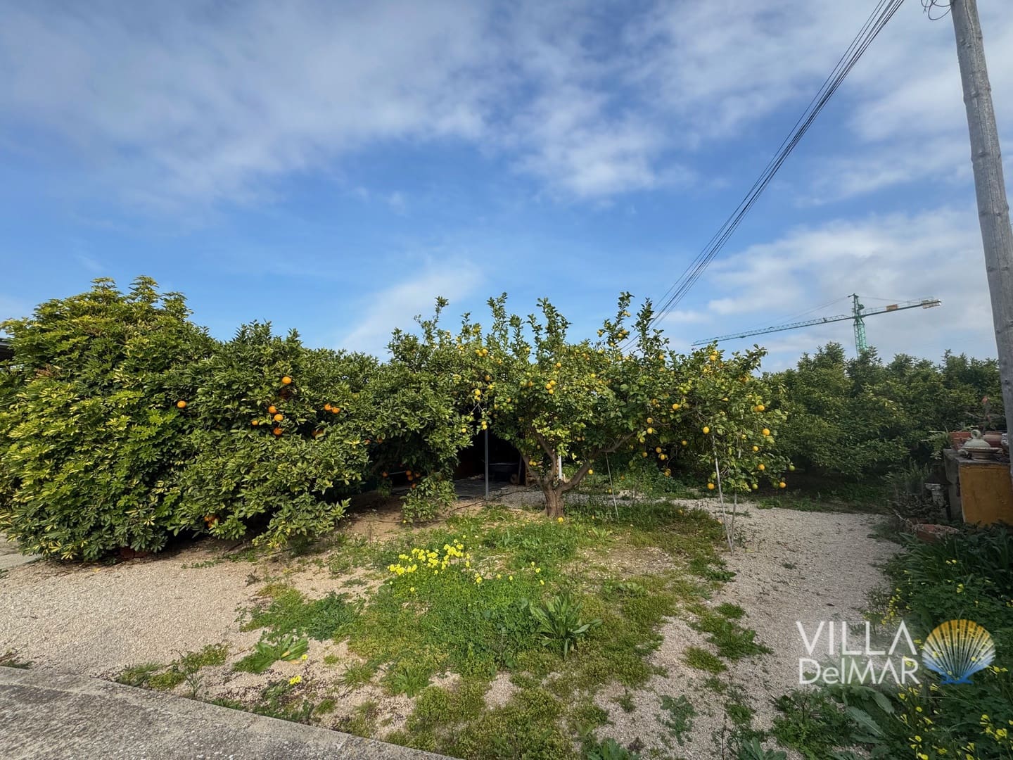 Bouwgrond te koop in Els Poblets - € 299.000 (Ref: 8941087)