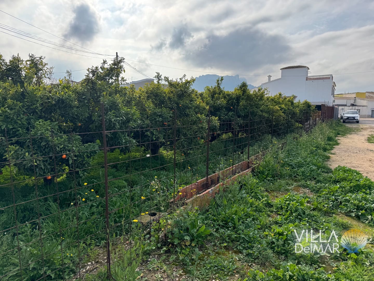 Bouwgrond te koop in Els Poblets - € 299.000 (Ref: 8941087)