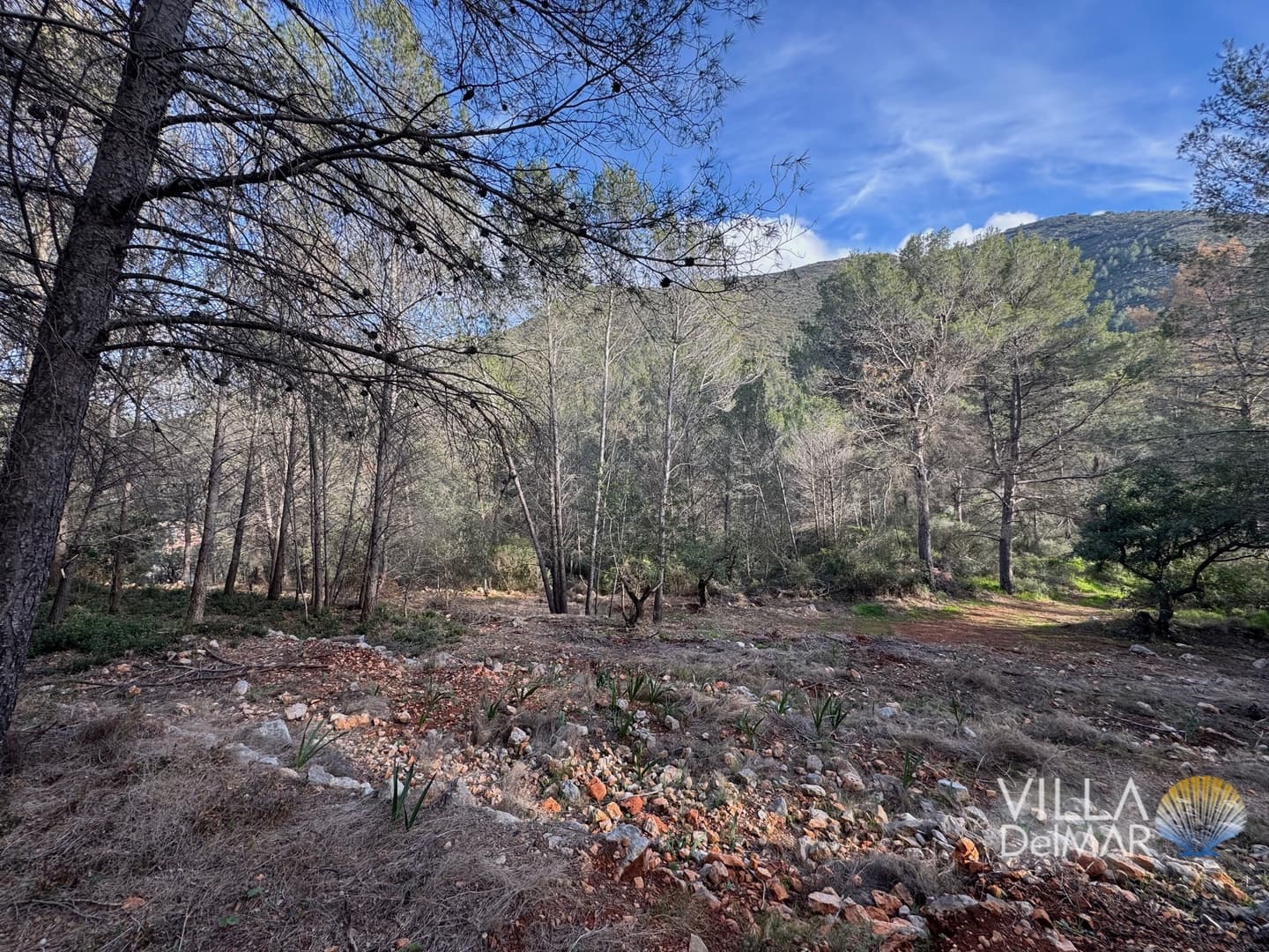 Building Plot for sale in Jalon de Cameros - € 210,000 (Ref: 8941110)