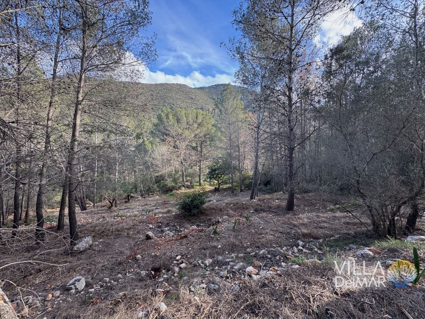 Building Plot for sale in Jalon de Cameros - € 210,000 (Ref: 8941110)