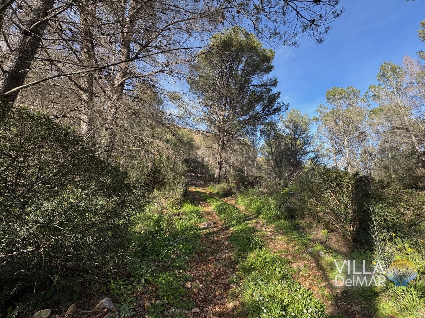 Building Plot for sale in Jalon de Cameros - € 210,000 (Ref: 8941110)