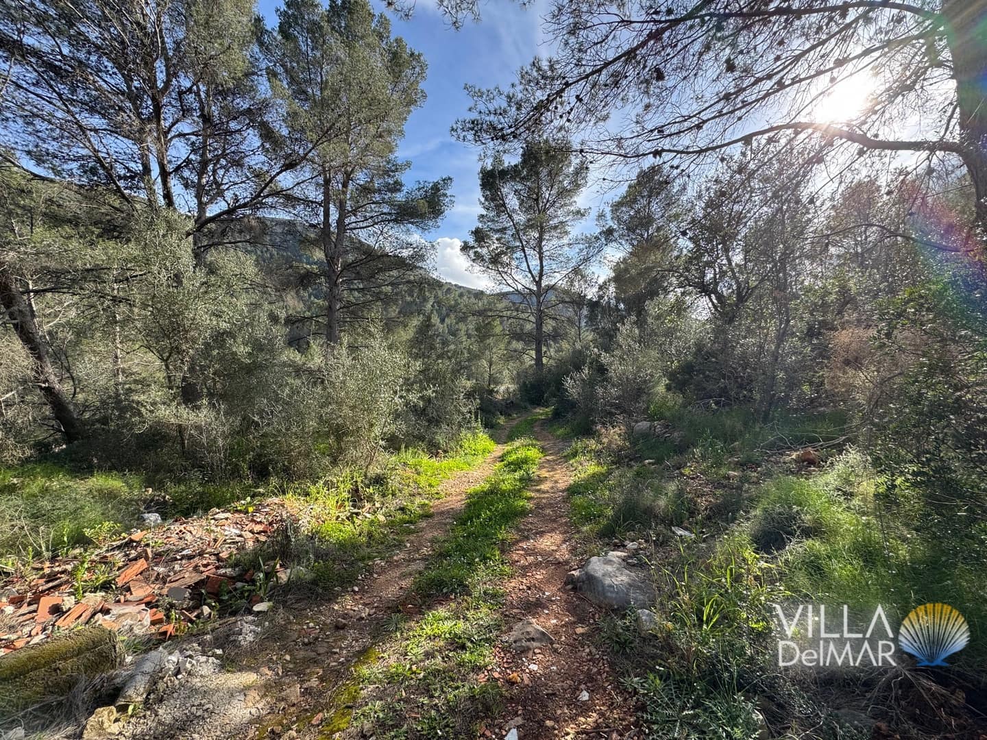 Building Plot for sale in Jalon de Cameros - € 210,000 (Ref: 8941110)