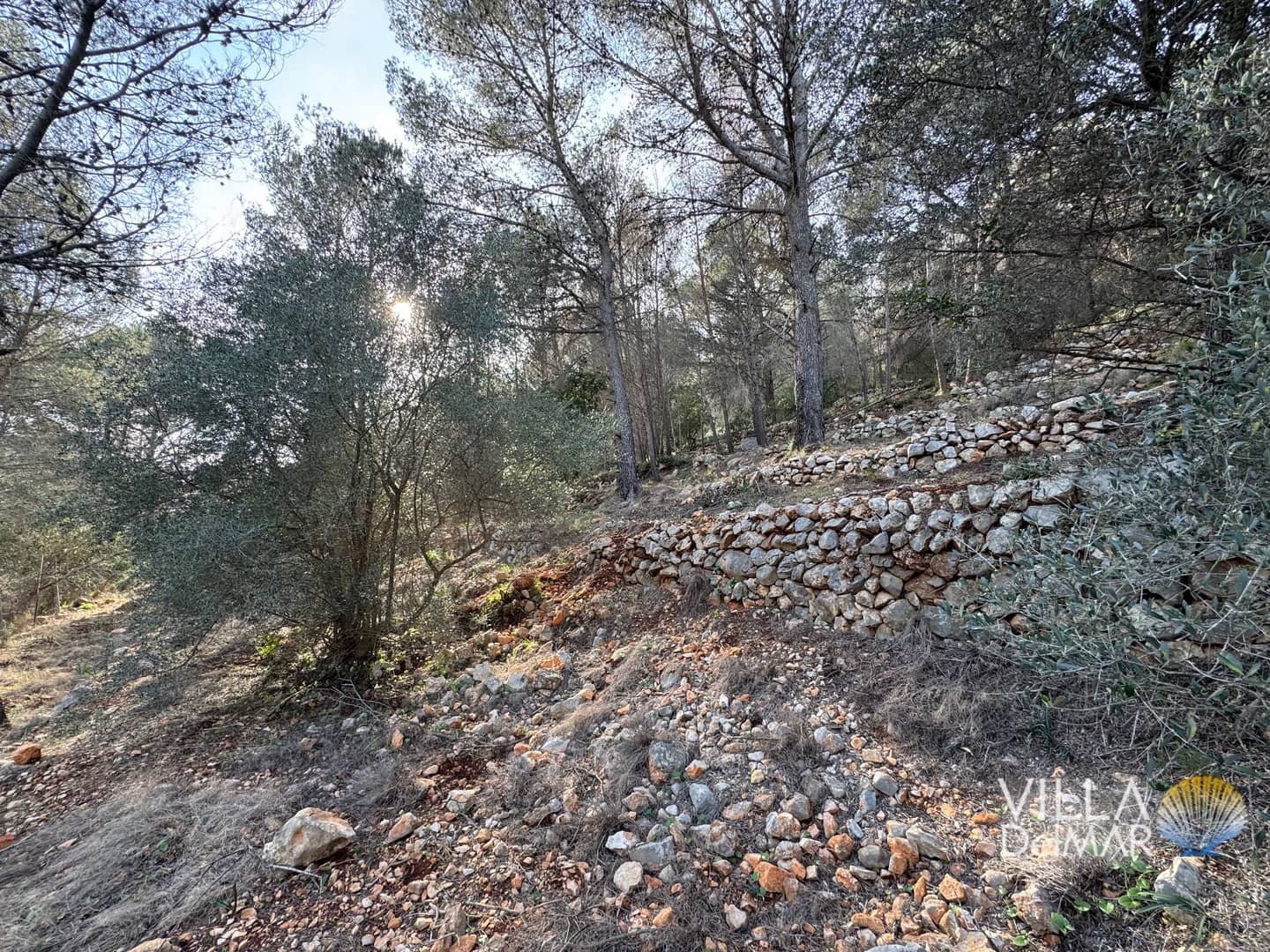 Building Plot for sale in Jalon de Cameros - € 210,000 (Ref: 8941110)