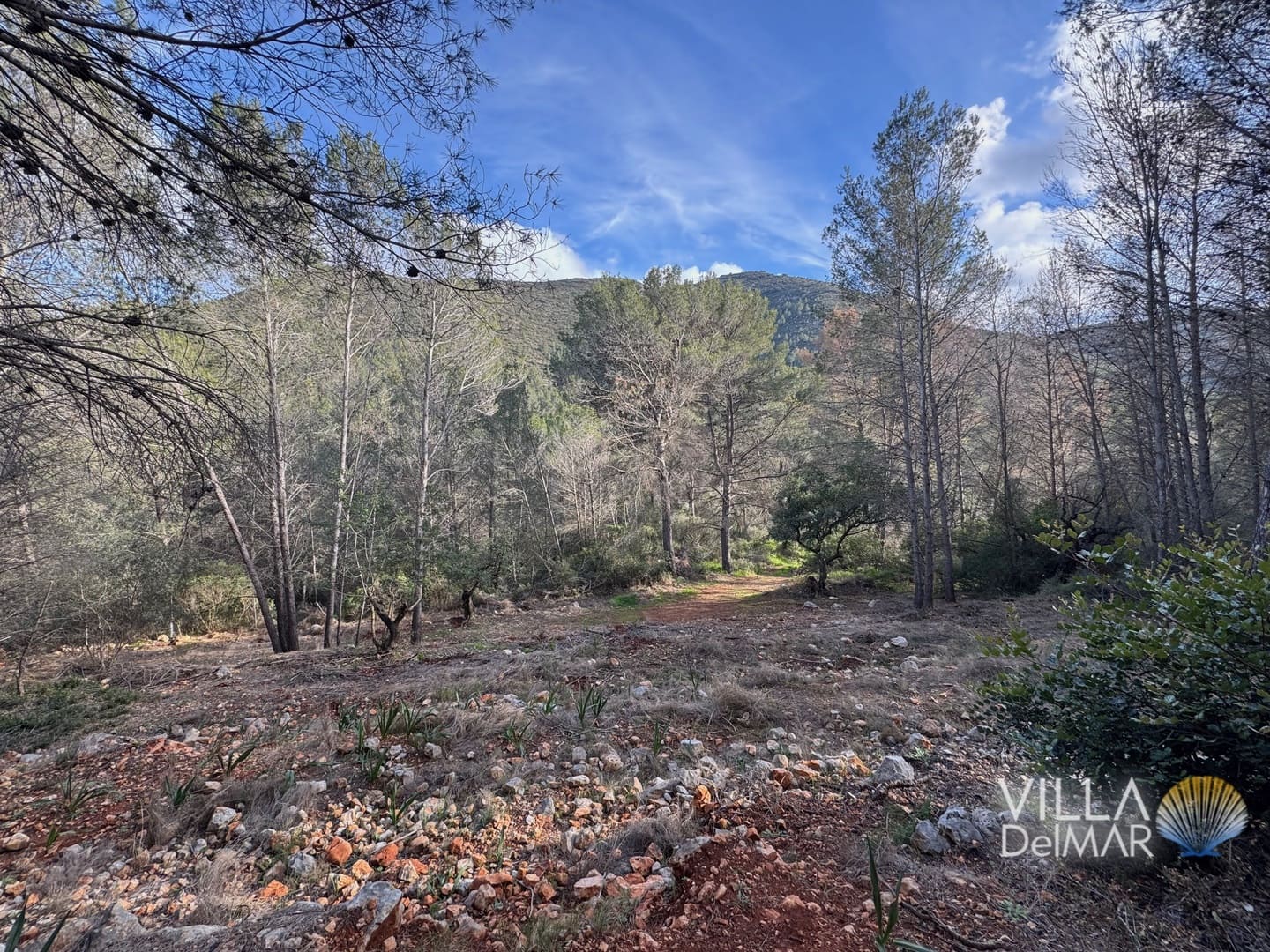 Building Plot for sale in Jalon de Cameros - € 210,000 (Ref: 8941110)