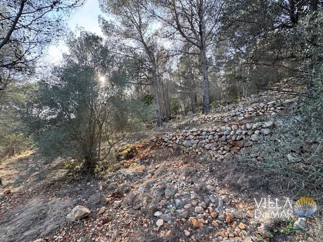 Byggegrund til salg i Jalón de Cameros - € 210.000 (Ref: 8941110)