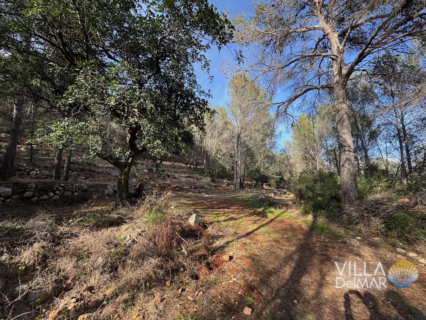 Building Plot for sale in Jalon de Cameros - € 210,000 (Ref: 8941110)