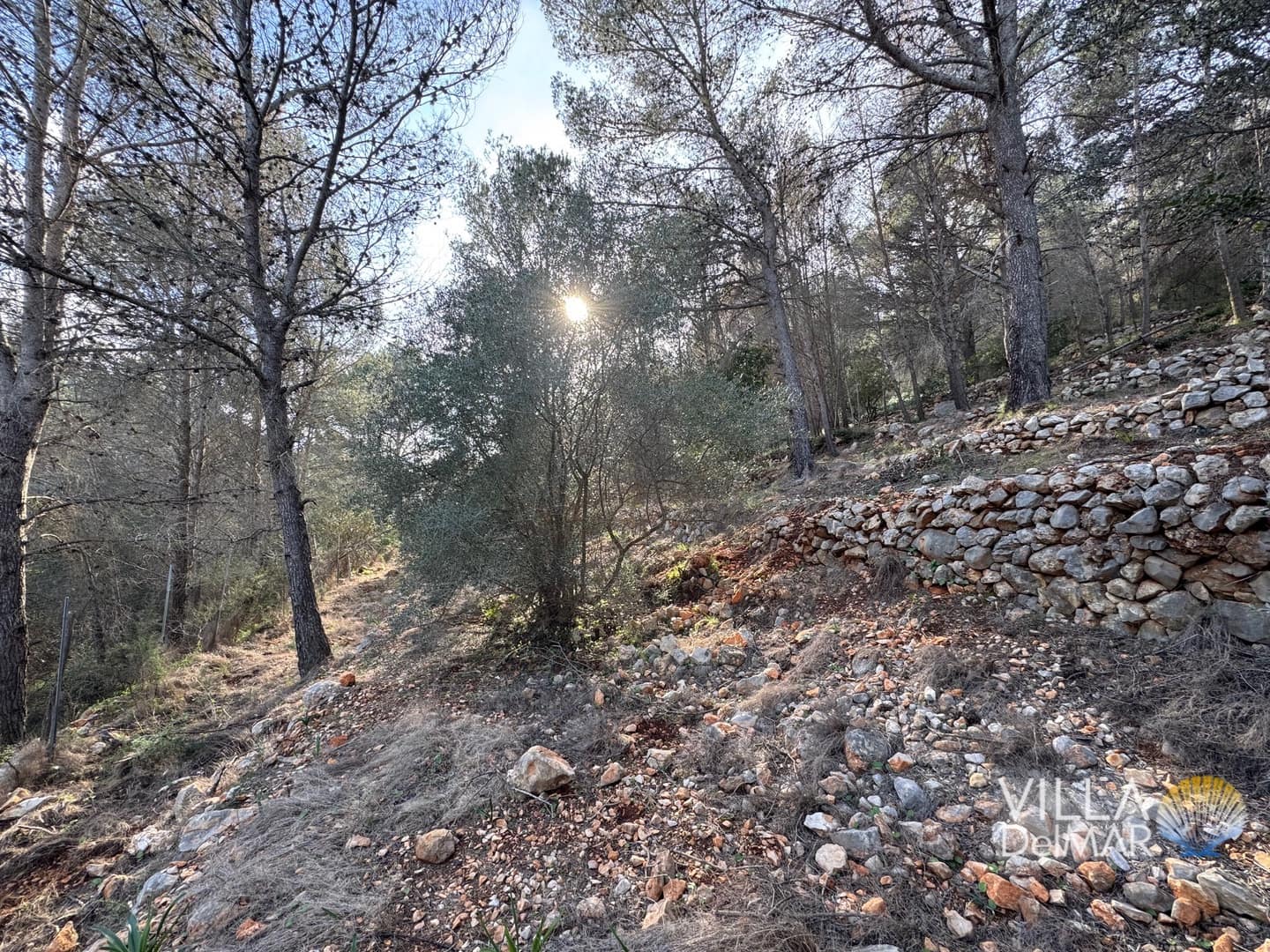 Building Plot for sale in Jalon de Cameros - € 210,000 (Ref: 8941110)