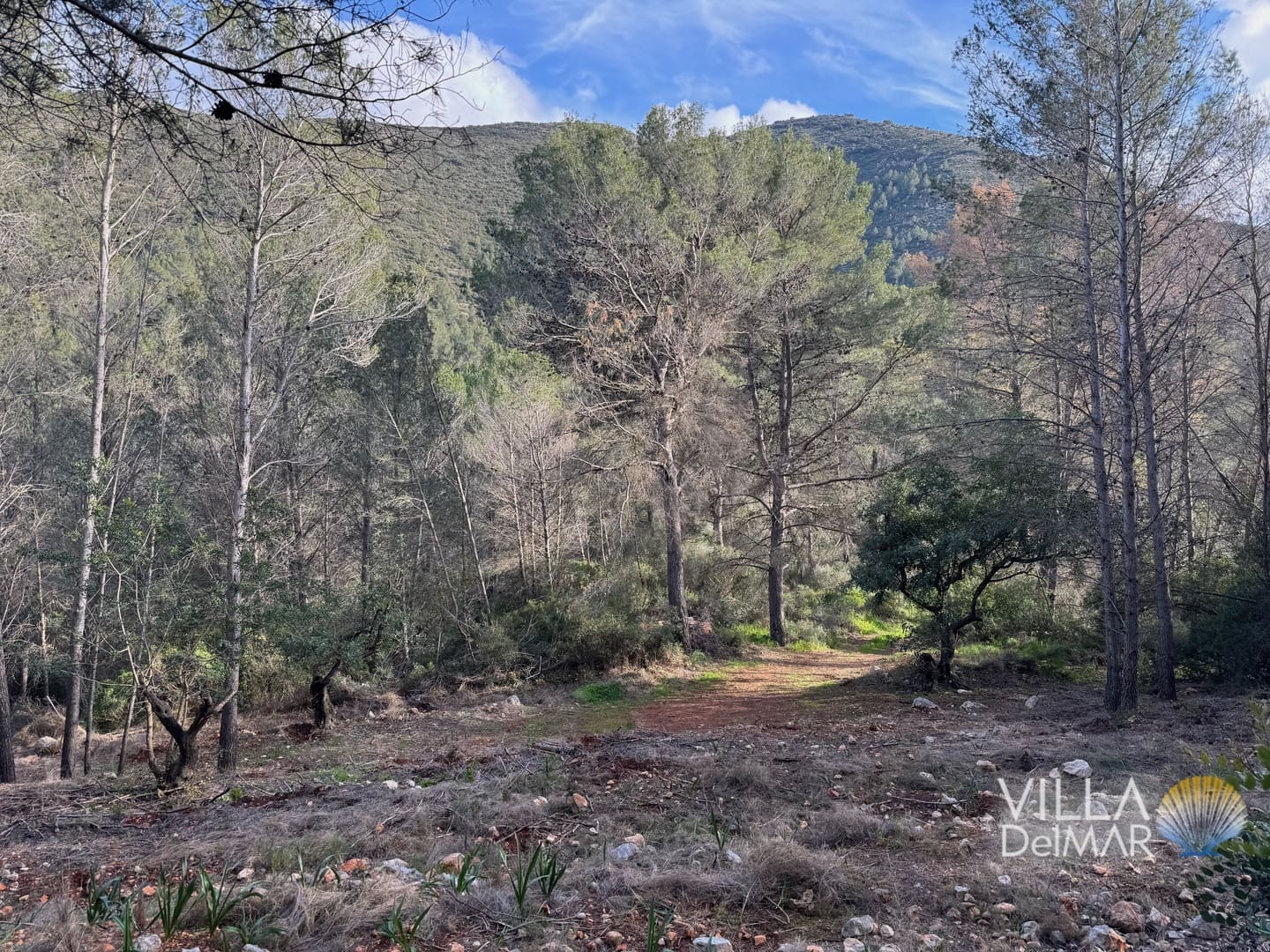 Building Plot for sale in Jalon de Cameros - € 210,000 (Ref: 8941110)