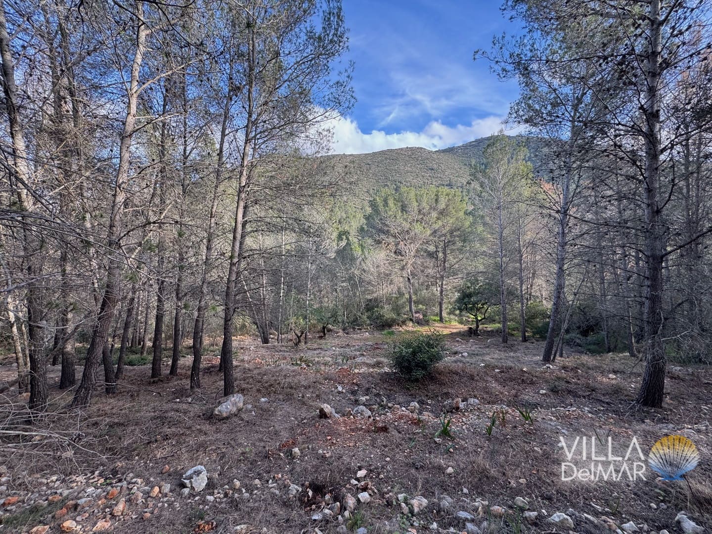 Building Plot for sale in Jalon de Cameros - € 210,000 (Ref: 8941110)