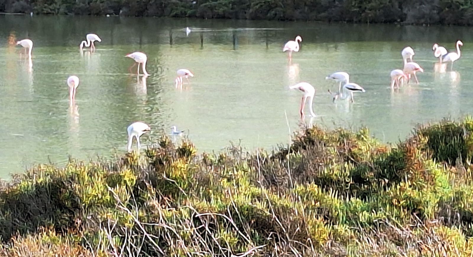 5 bedroom Villa for holiday rental in Calpe / Calp with pool garage - € 1,729 (Ref: 9761613)