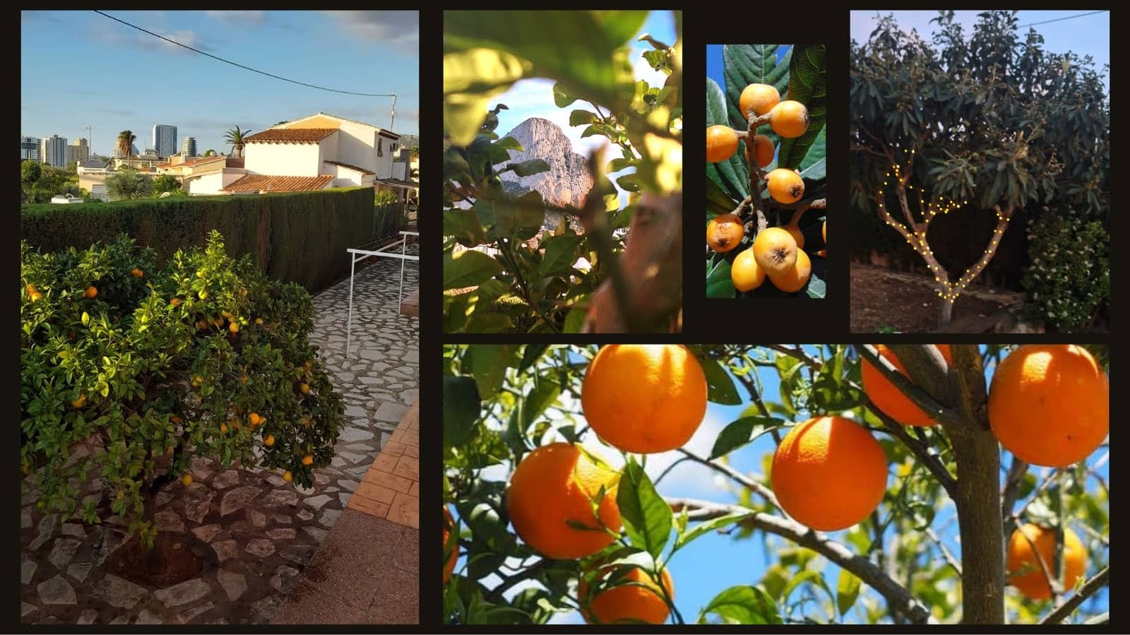 5 bedroom Villa for holiday rental in Calpe / Calp with pool garage - € 1,729 (Ref: 9761613)