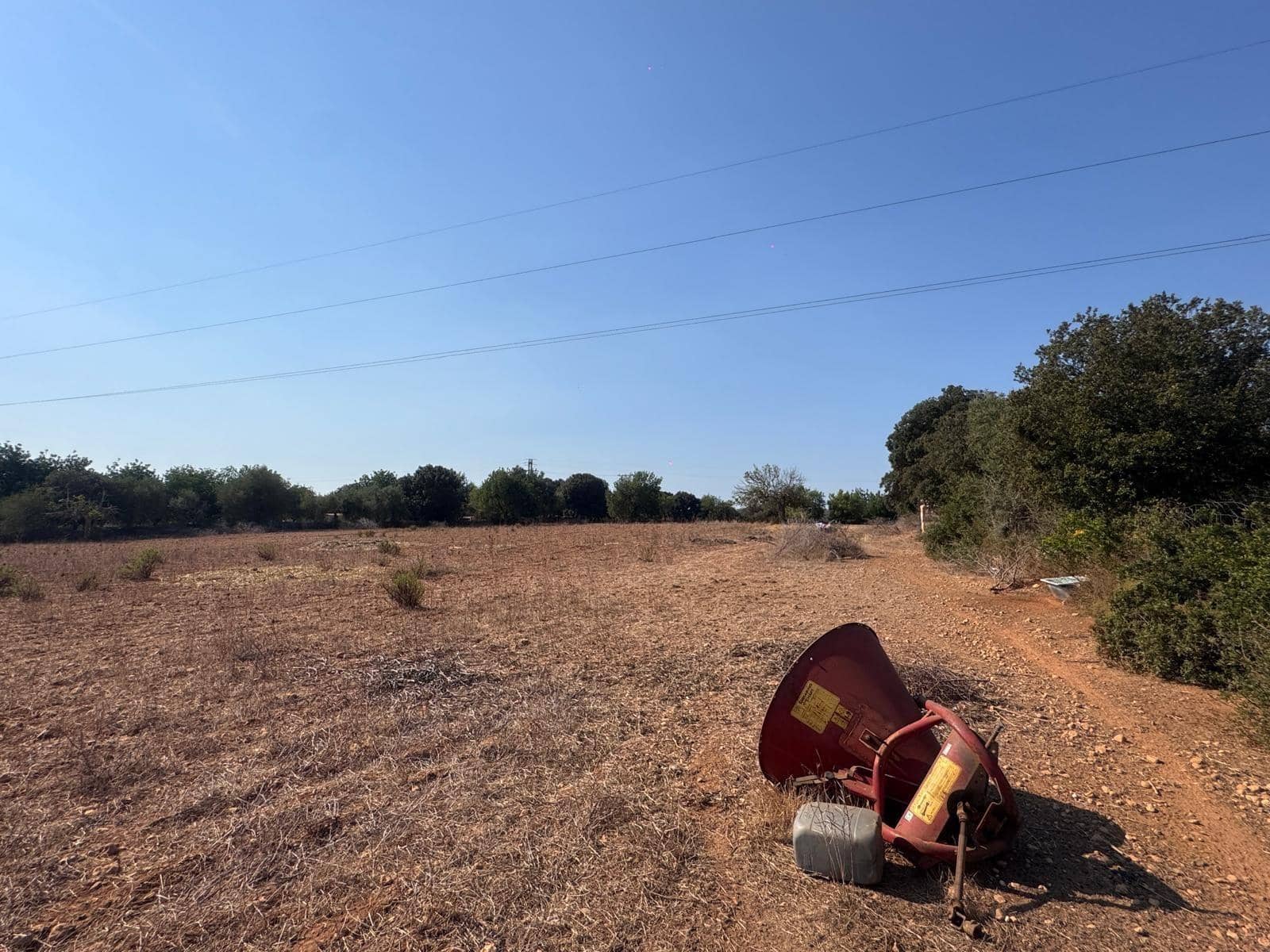 Rakentamaton maa myytävänä paikassa Inca - 265 000 € (Ref: 9197914)