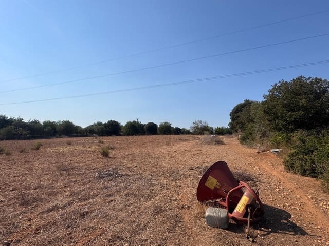 Mark till salu i Inca - 265 000 € (Ref: 9197914)