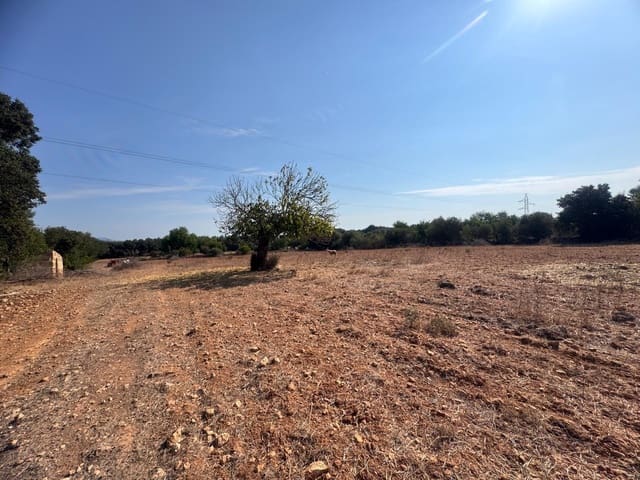 Mark till salu i Inca - 265 000 € (Ref: 9197914)