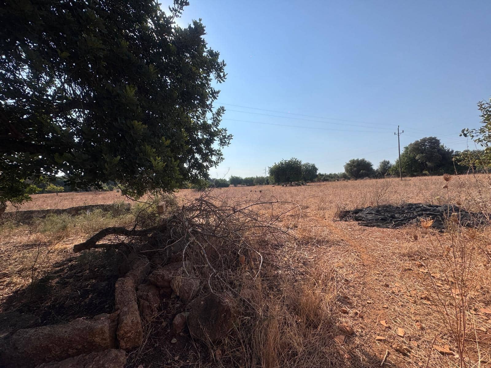 Rakentamaton maa myytävänä paikassa Inca - 265 000 € (Ref: 9197914)