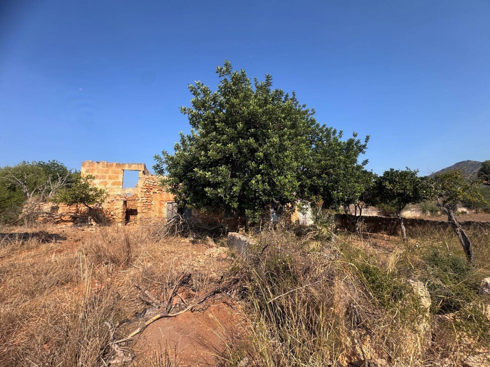 Rakentamaton maa myytävänä paikassa Inca - 265 000 € (Ref: 9197914)