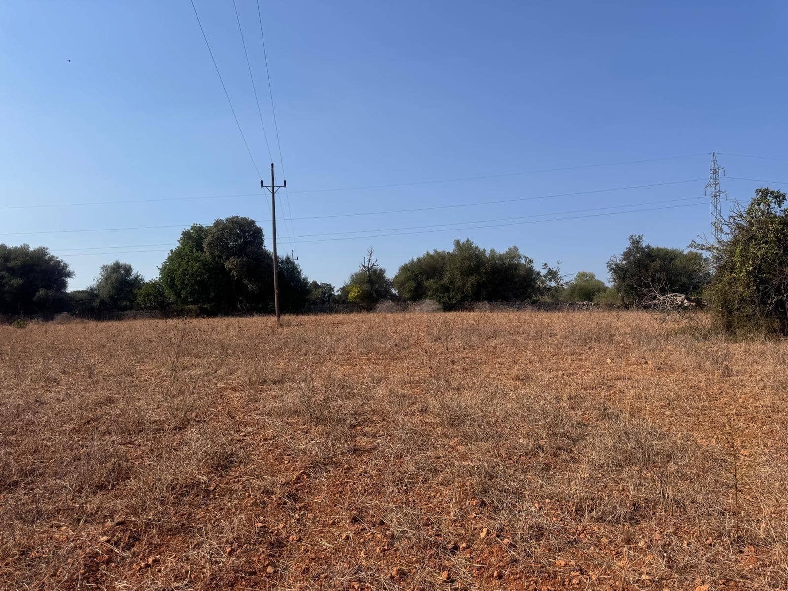 Rakentamaton maa myytävänä paikassa Inca - 265 000 € (Ref: 9197914)