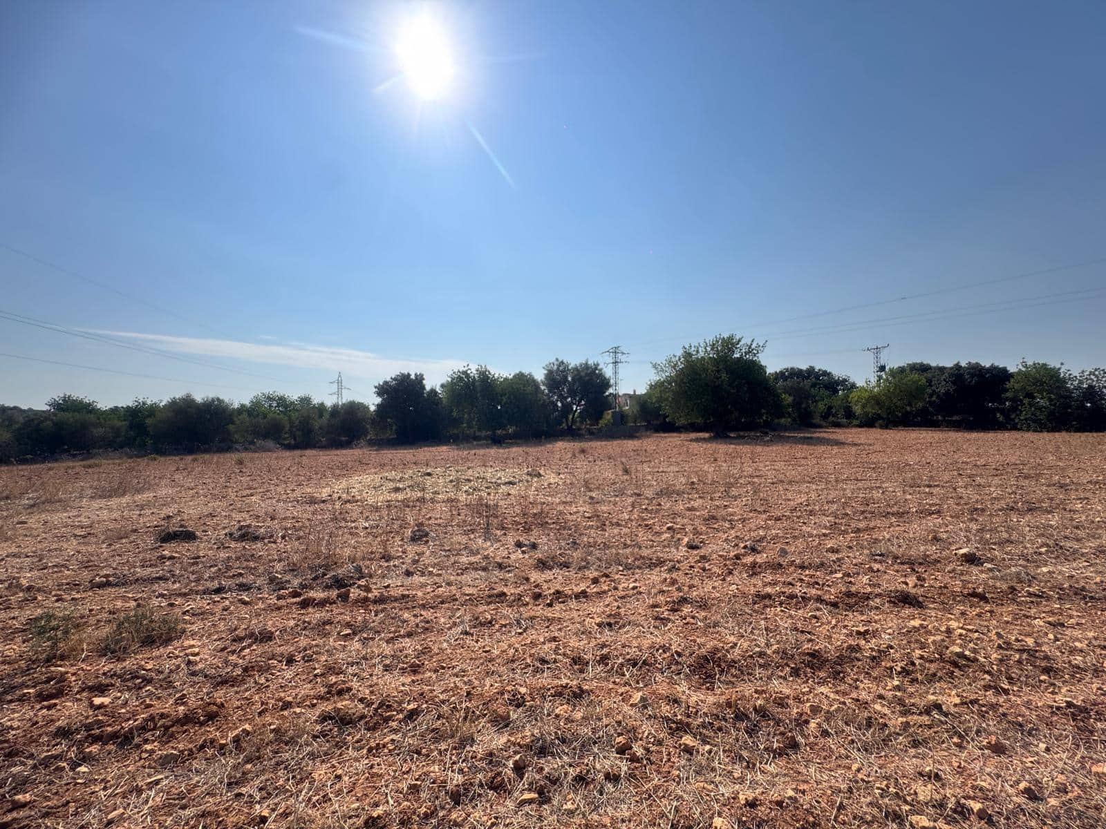 Rakentamaton maa myytävänä paikassa Inca - 265 000 € (Ref: 9197914)