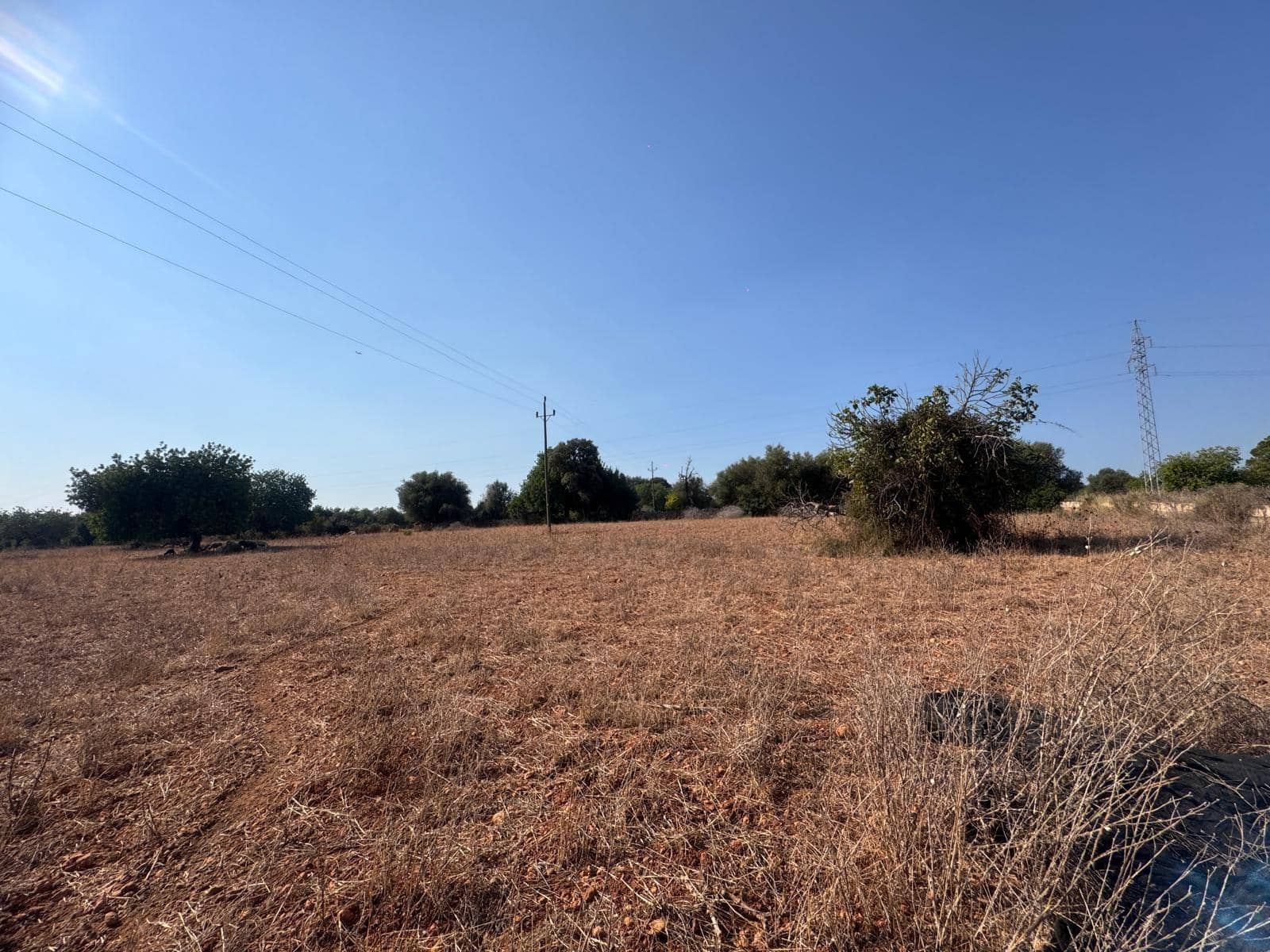 Rakentamaton maa myytävänä paikassa Inca - 265 000 € (Ref: 9197914)