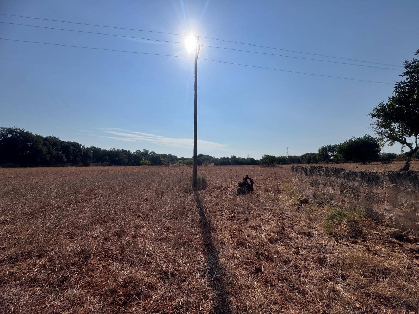 Rakentamaton maa myytävänä paikassa Inca - 265 000 € (Ref: 9197914)