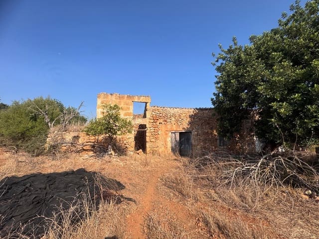 Mark till salu i Inca - 265 000 € (Ref: 9197914)