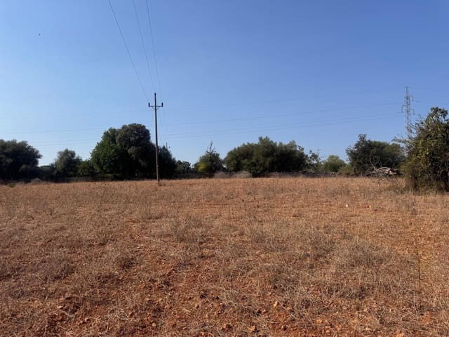 Mark till salu i Inca - 265 000 € (Ref: 9197914)