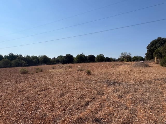 Mark till salu i Inca - 265 000 € (Ref: 9197914)