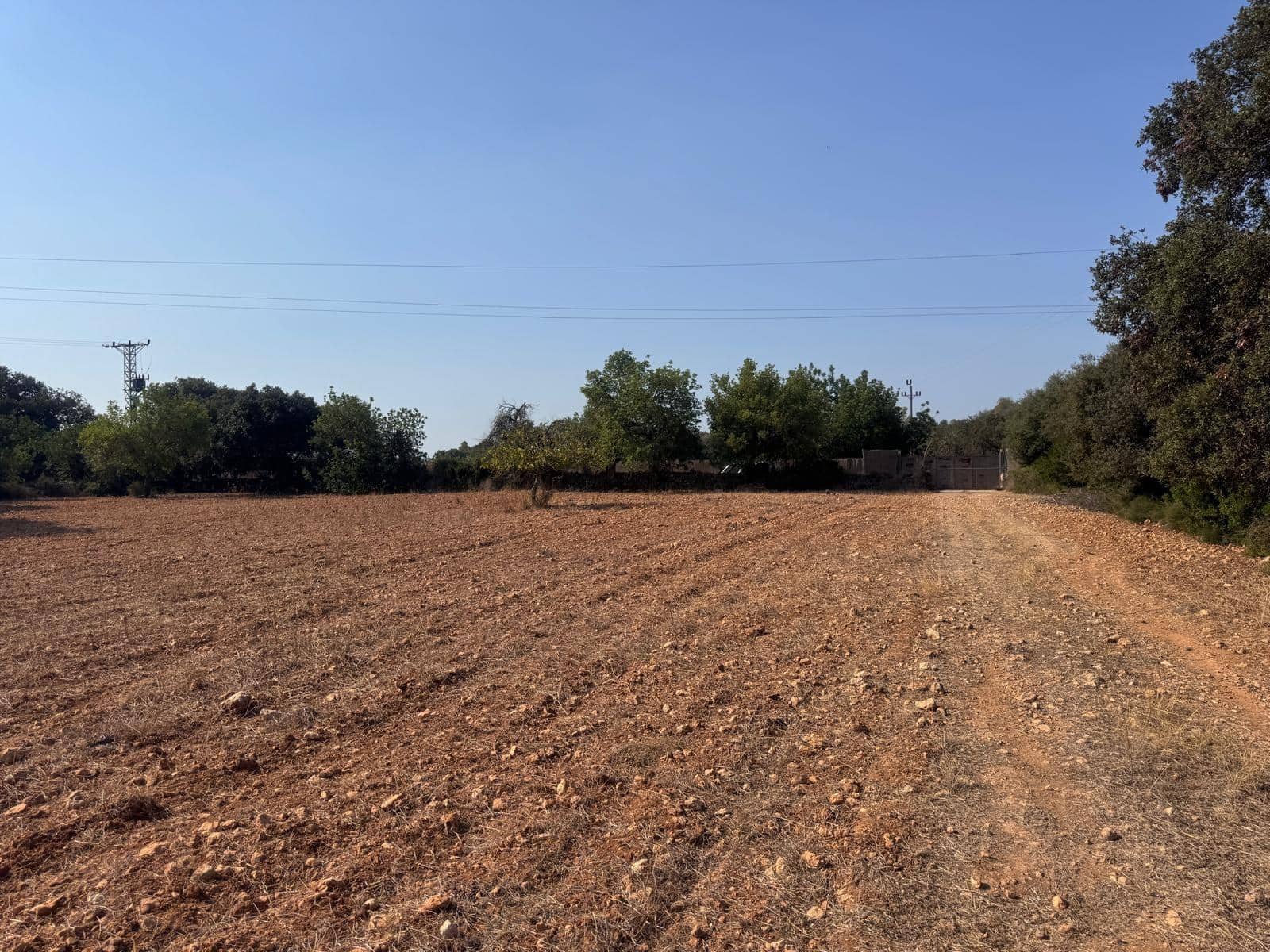 Rakentamaton maa myytävänä paikassa Inca - 265 000 € (Ref: 9197914)