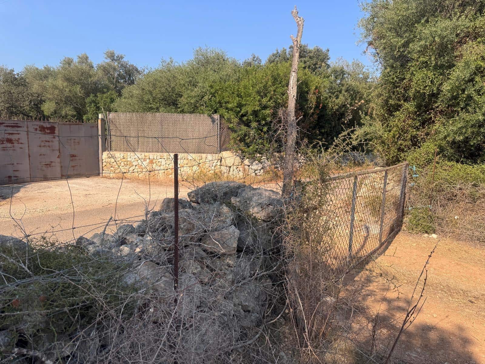 Rakentamaton maa myytävänä paikassa Inca - 265 000 € (Ref: 9197914)